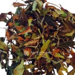 Thyolo Peony White Tea from Malawi