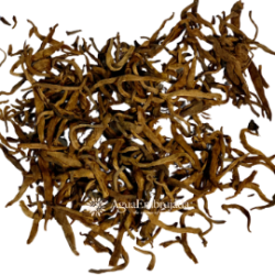 Golden Pu erh loose by Feng Qing. Limited production