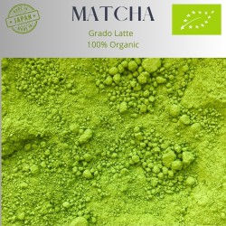 Matcha grado latte ecológico de japón