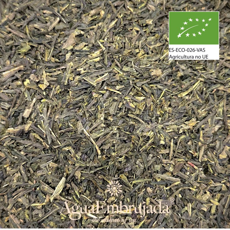 Té verde Bancha ecológico japonés