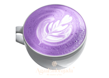 ube latte