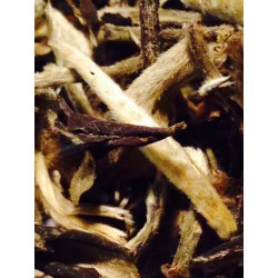 Té blanco Pai mu tan Imperial Yue Guang Bai. Cosecha de Otoño