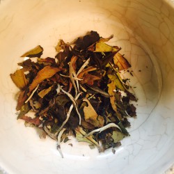 Té blanco White Peony de hoja morada (Purple Tea) Lumbini Factory