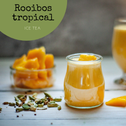 Ice tea Rooibos tropical, lata de 250g