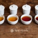 Set de cata de té (120ml)